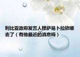 利比亞政府發(fā)言人穆薩易卜拉欣哪去了（有他最近的消息嗎）
