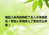 被別人家養(yǎng)的狗咬了主人不承擔責任（幫別人養(yǎng)狗咬人了責任怎么承擔）