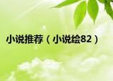 小說推薦（小說繪82）