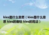 kies是什么意思（kies是什么意思 kies的音標(biāo) kies的用法）