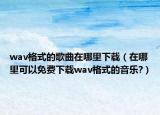 wav格式的歌曲在哪里下載（在哪里可以免費(fèi)下載wav格式的音樂(lè)?）