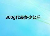 300g代表多少公斤