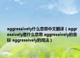 aggressively什么意思中文翻譯（aggressively是什么意思 aggressively的音標(biāo) aggressively的用法）