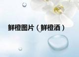 鮮橙圖片（鮮橙酒）
