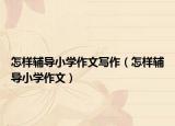 怎樣輔導(dǎo)小學(xué)作文寫作（怎樣輔導(dǎo)小學(xué)作文）