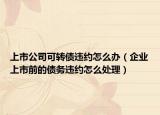 上市公司可轉(zhuǎn)債違約怎么辦（企業(yè)上市前的債務(wù)違約怎么處理）