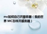 mc如何自己開服務(wù)器（我的世界 MC怎樣開服務(wù)器）