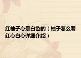 紅柚子心是白色的（柚子怎么看紅心白心詳細(xì)介紹）