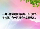一只大肥貓的動(dòng)畫片是什么（有個(gè)老動(dòng)畫片有一只肥貓叫尼亞幾拉）