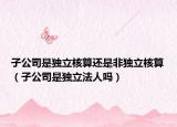 子公司是獨(dú)立核算還是非獨(dú)立核算（子公司是獨(dú)立法人嗎）