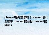 pleased是啥意思?。╬leased是什么意思 pleased的音標(biāo) pleased的用法）