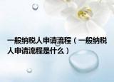 一般納稅人申請(qǐng)流程（一般納稅人申請(qǐng)流程是什么）