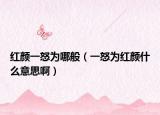 紅顏一怒為哪般（一怒為紅顏什么意思啊）