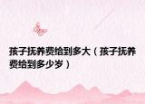 孩子撫養(yǎng)費給到多大（孩子撫養(yǎng)費給到多少歲）