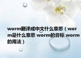 worm翻譯成中文什么意思（worm是什么意思 worm的音標(biāo) worm的用法）