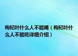 枸杞葉什么人不能喝（枸杞葉什么人不能吃詳細介紹）