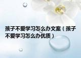 孩子不愛學(xué)習(xí)怎么辦文案（孩子不愛學(xué)習(xí)怎么辦優(yōu)質(zhì)）