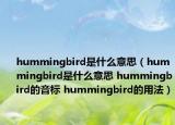 hummingbird是什么意思（hummingbird是什么意思 hummingbird的音標(biāo) hummingbird的用法）