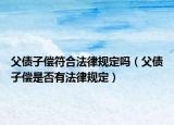 父債子償符合法律規(guī)定嗎（父債子償是否有法律規(guī)定）