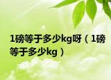 1磅等于多少kg呀（1磅等于多少kg）