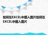 如何在EXCEL中插入圖片如何在EXCEL中插入圖片