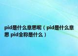 pid是什么意思呢（pid是什么意思 pid全稱是什么）