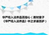 華嚴(yán)經(jīng)入法界品菩提心（善財(cái)童子 《華嚴(yán)經(jīng)入法界品》中之求道菩薩）