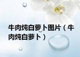 牛肉燉白蘿卜圖片（牛肉燉白蘿卜）