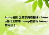 hump是什么意思英語(yǔ)翻譯（hump是什么意思 hump的音標(biāo) hump的用法）
