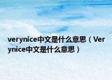 verynice中文是什么意思（Verynice中文是什么意思）