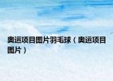 奧運(yùn)項(xiàng)目圖片羽毛球（奧運(yùn)項(xiàng)目圖片）