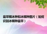 翡翠糯冰種和冰糯種圖片（如何識(shí)別冰糯種翡翠）