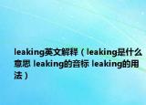 leaking英文解釋（leaking是什么意思 leaking的音標(biāo) leaking的用法）