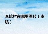 李坑村在哪里圖片（李坑）