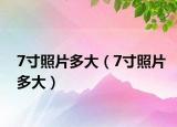 7寸照片多大（7寸照片多大）