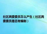 社區(qū)兩委委員怎么產(chǎn)生（社區(qū)兩委委員是否有編制）