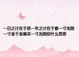 一日之計在于晨一年之計在于春一寸光陰一寸金千金難買一寸光陰你什么意思