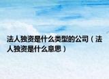 法人獨資是什么類型的公司（法人獨資是什么意思）