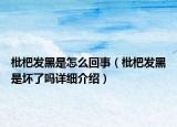 枇杷發(fā)黑是怎么回事（枇杷發(fā)黑是壞了嗎詳細(xì)介紹）