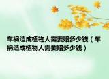 車禍造成植物人需要賠多少錢（車禍造成植物人需要賠多少錢）