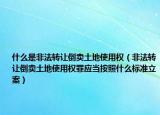 什么是非法轉(zhuǎn)讓倒賣土地使用權(quán)（非法轉(zhuǎn)讓倒賣土地使用權(quán)罪應當按照什么標準立案）