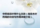 中藥南非葉有什么功效（南非木葉藥用的功效與作用詳細(xì)介紹）