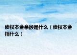 債權(quán)本金余額是什么（債權(quán)本金指什么）
