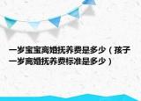 一歲寶寶離婚撫養(yǎng)費是多少（孩子一歲離婚撫養(yǎng)費標準是多少）