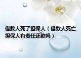 借款人死了擔(dān)保人（借款人死亡擔(dān)保人有責(zé)任還款嗎）