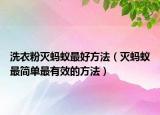 洗衣粉滅螞蟻最好方法（滅螞蟻最簡單最有效的方法）