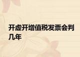 開虛開增值稅發(fā)票會(huì)判幾年