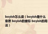 boyish怎么讀（boyish是什么意思 boyish的音標(biāo) boyish的用法）
