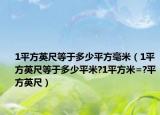 1平方英尺等于多少平方毫米（1平方英尺等于多少平米?1平方米=?平方英尺）