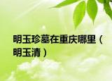 明玉珍墓在重慶哪里（明玉清）